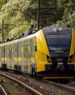 Dodies dabā kopā ar VIVI un Latvijas valsts mežiem