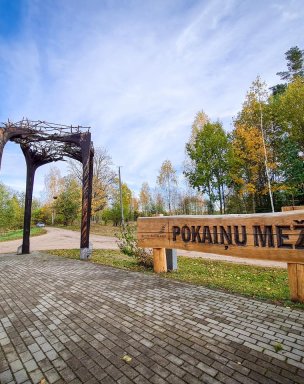 Ліс Покайню LVM