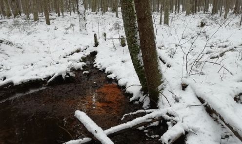 
Dzelzs savienojumi avota izplūdes vietā LVM Ziemeļlatgales reģiona Madonas iecirknī.
