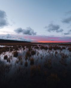 Foto autors: Kristaps Putniņš