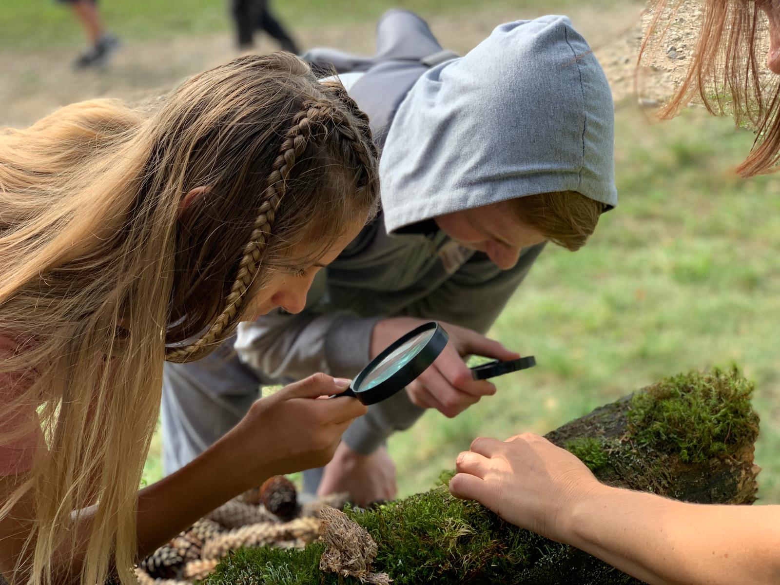 4b2b4cee f34d 42f5 a56a 0904dc896d27