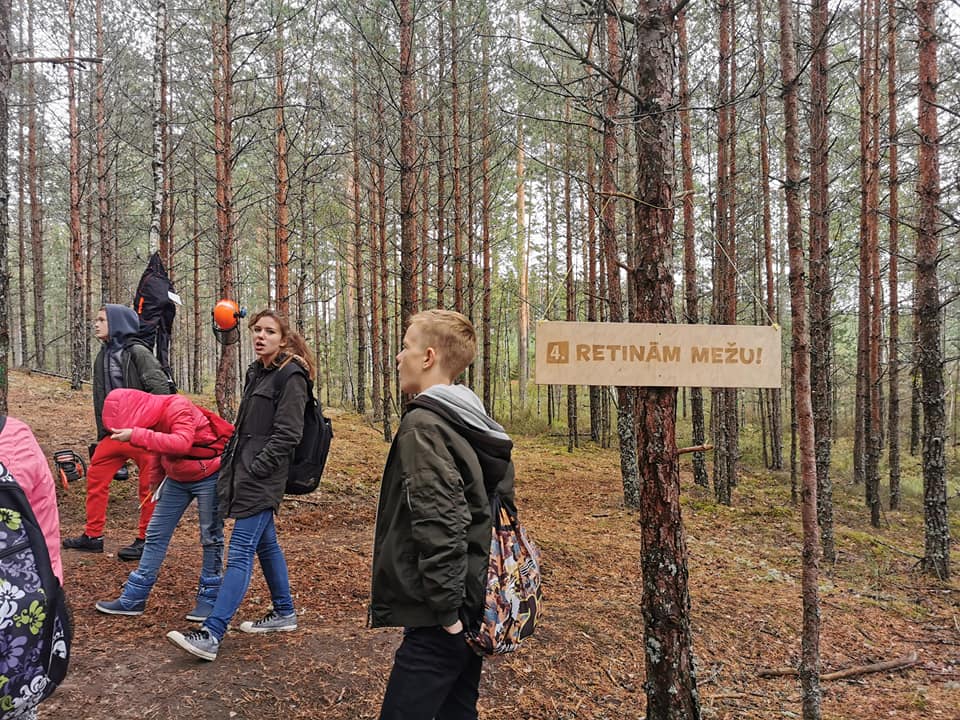 70537836 2241556772639077 2627684360609857536 n