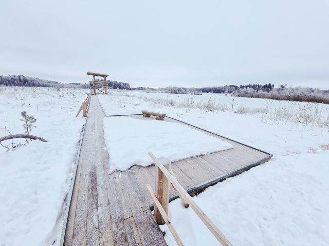 20221225 135818 edited