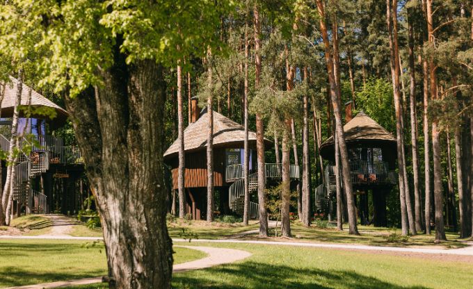 Trīs no koka būvēti namiņi kokos nakšņošanai Latvijas valsts mežu dabas parka glempingā