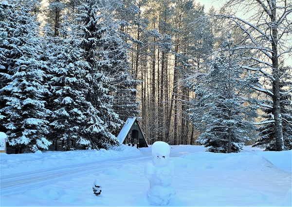 ziemas saulgriezi pokainos 8