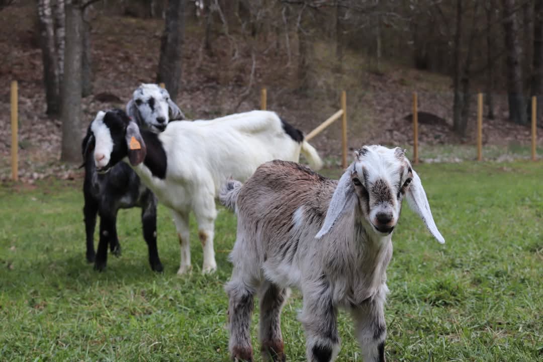 fb img 1742725727960