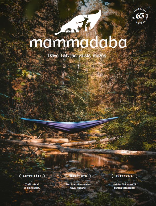 pavasaris-vasara 2025