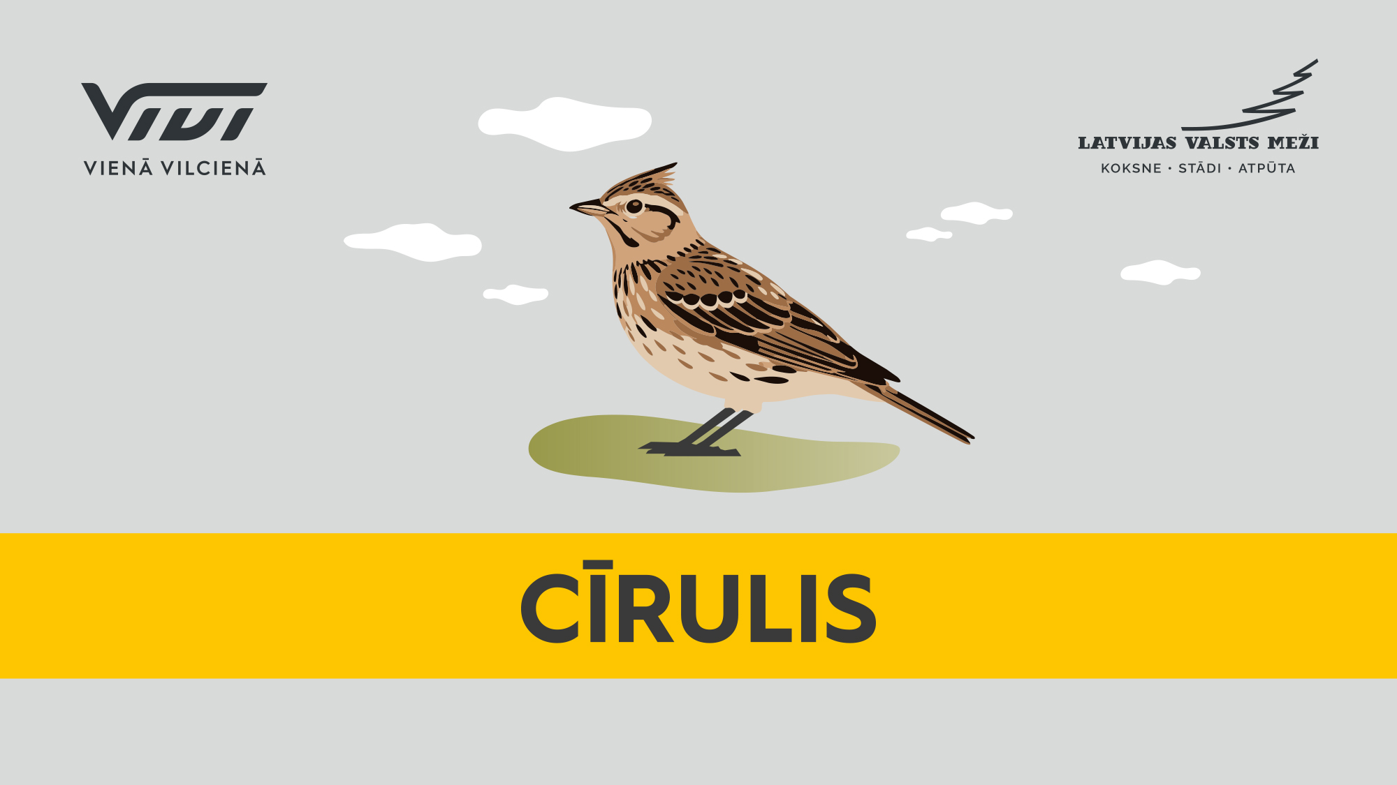 atputa cirulis