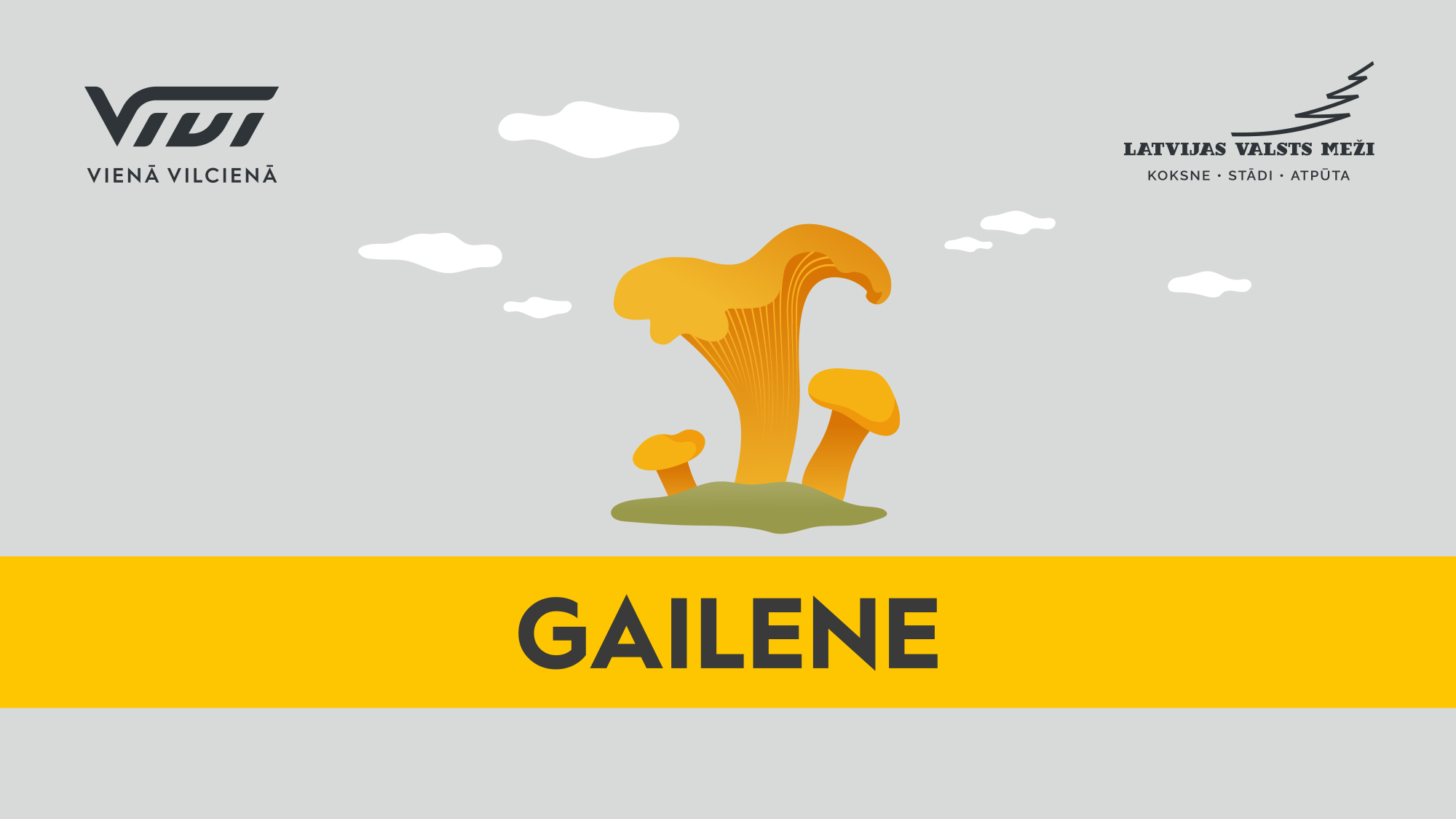 atputa gailene