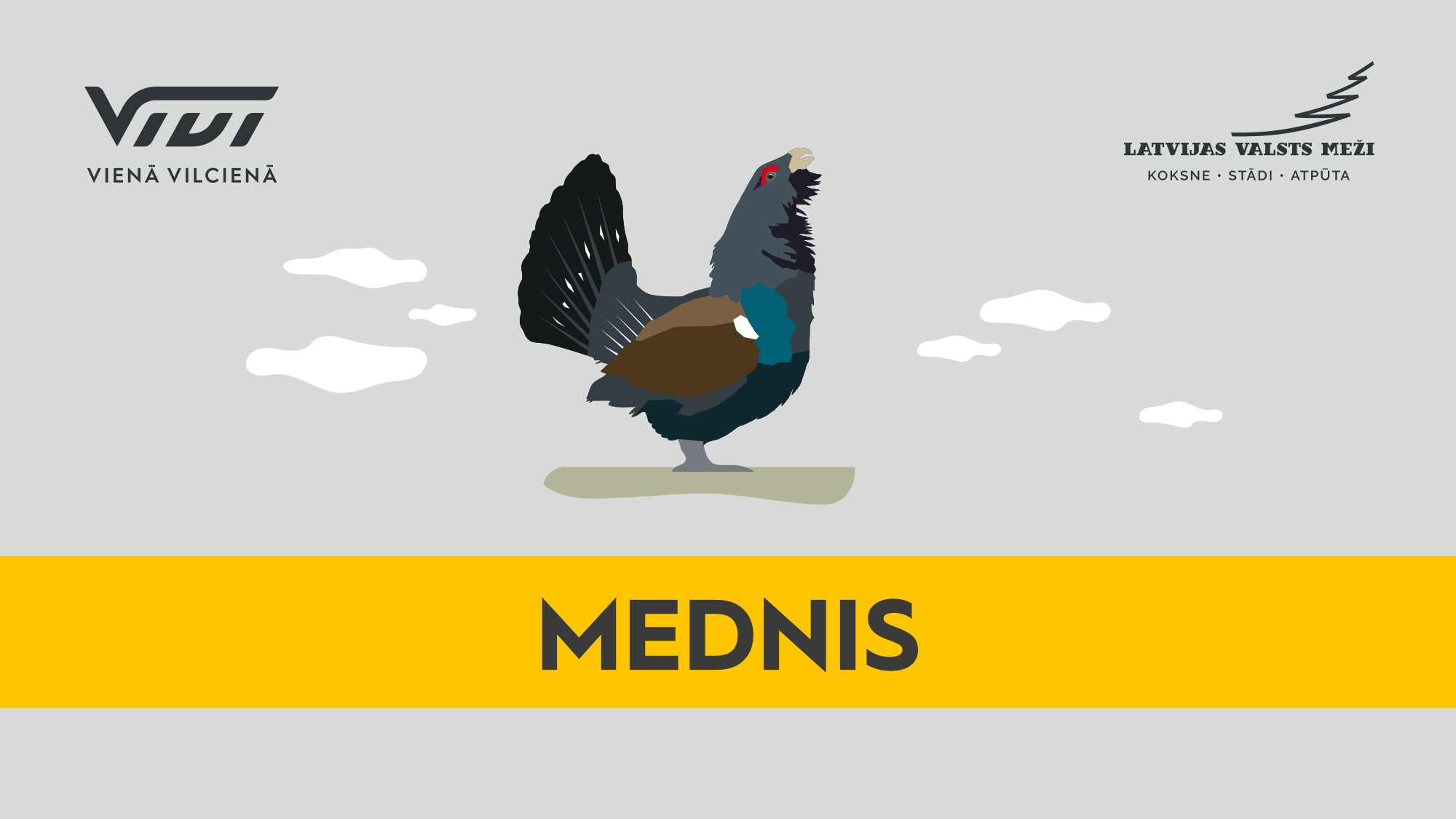 atputa mednis