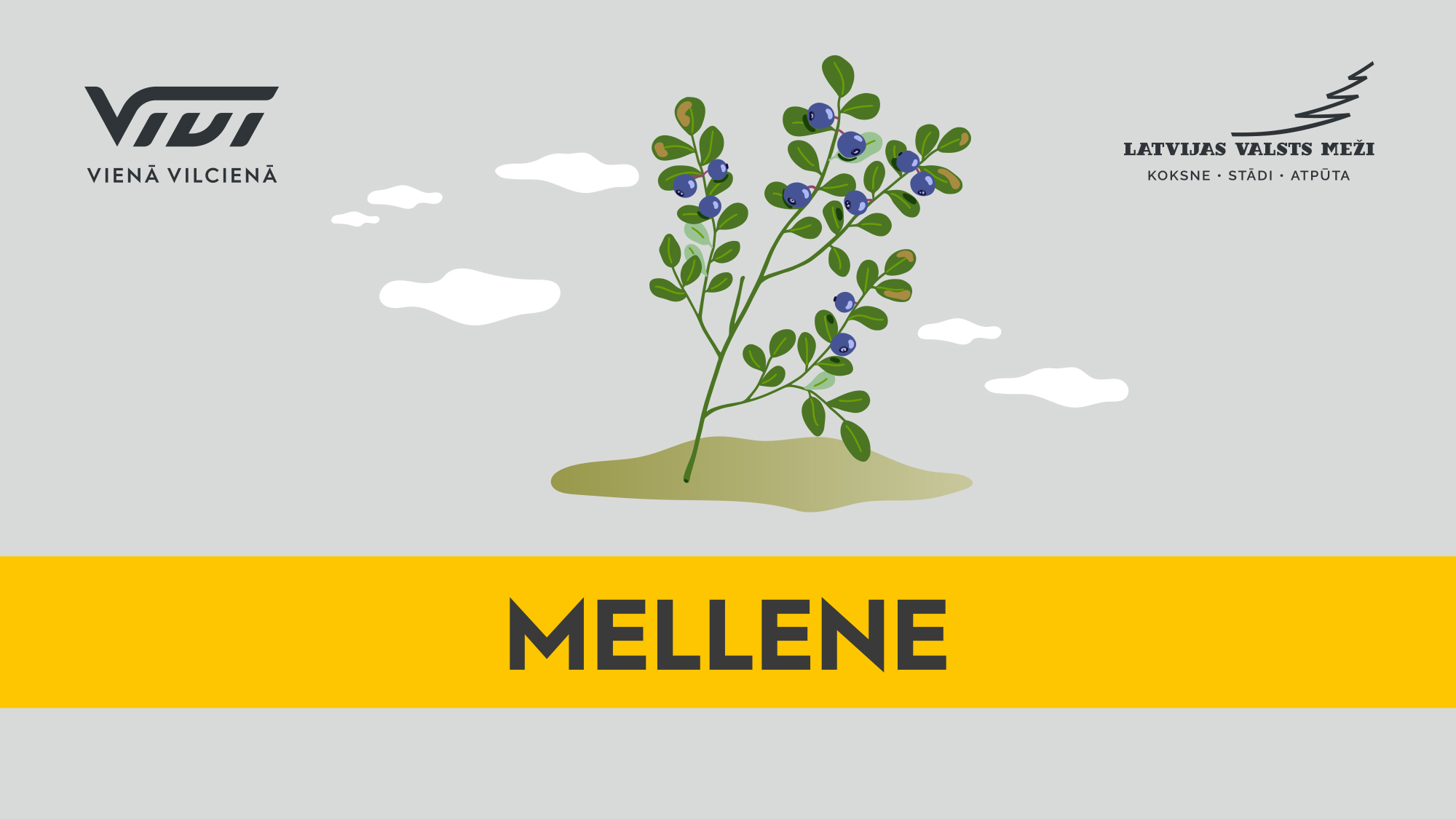 atputa mellene