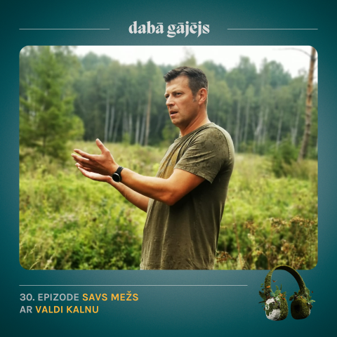 #30 Savs mežs