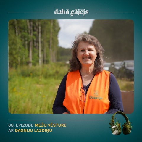 #68 Mežu vēsture