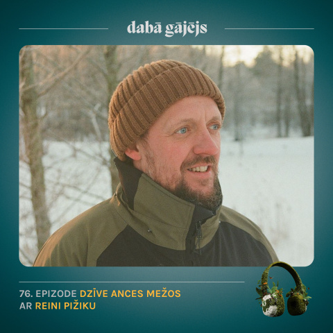 #76 Dzīve Ances mežos