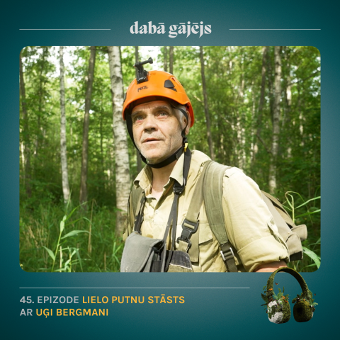 #45 Lielo putnu stāsts