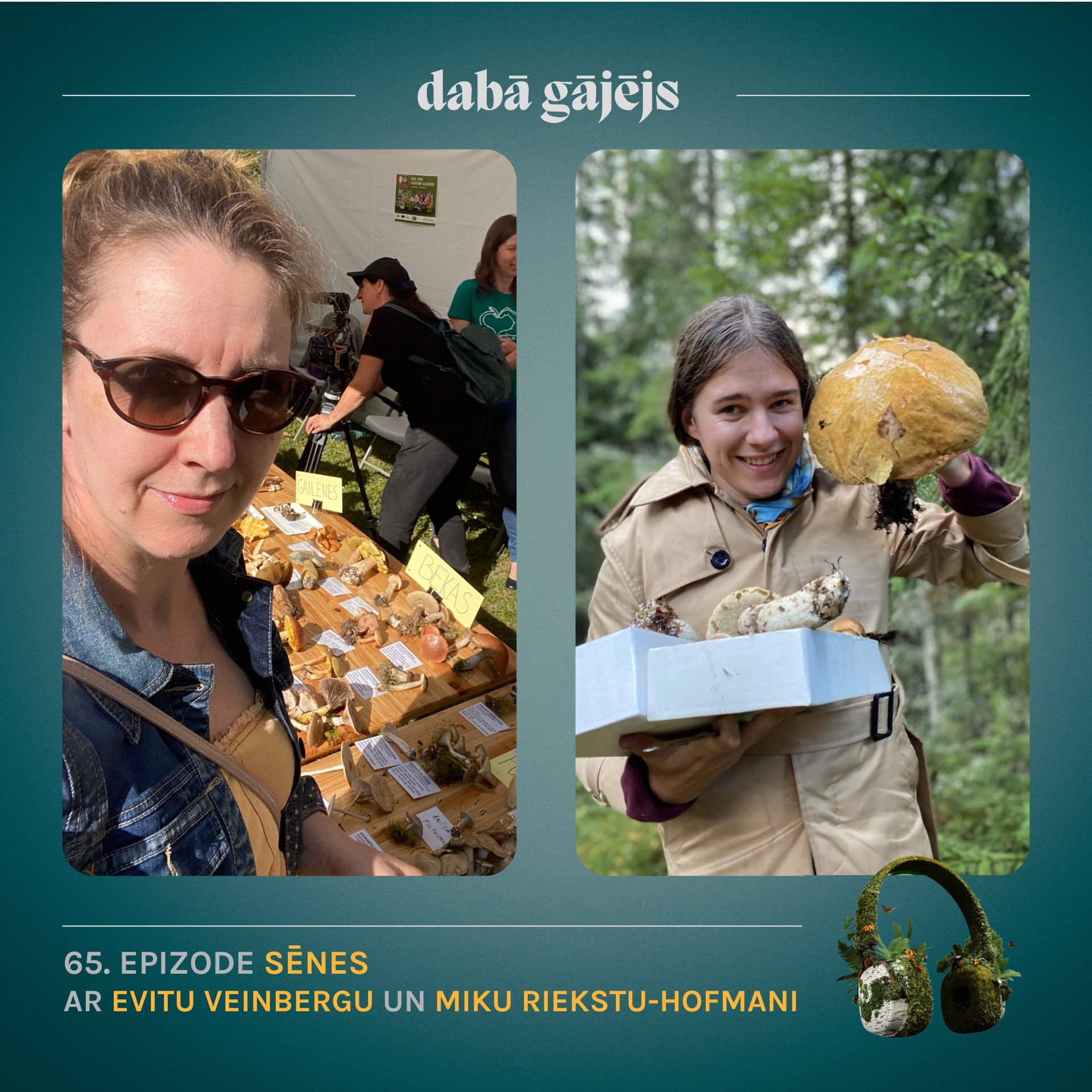 #65 Sēnes