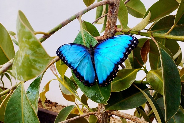 sized436519124 730470302597537 1350609259201893303 n